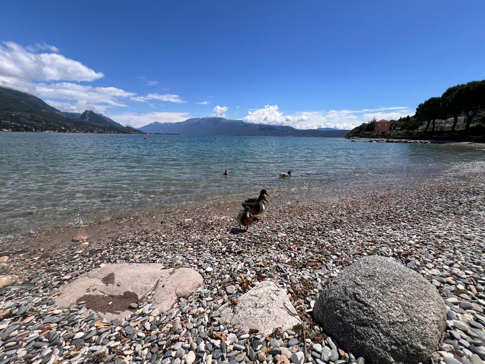 La Finestra Sul Garda Dreaming Holidays San Felice del Benaco Exterior foto