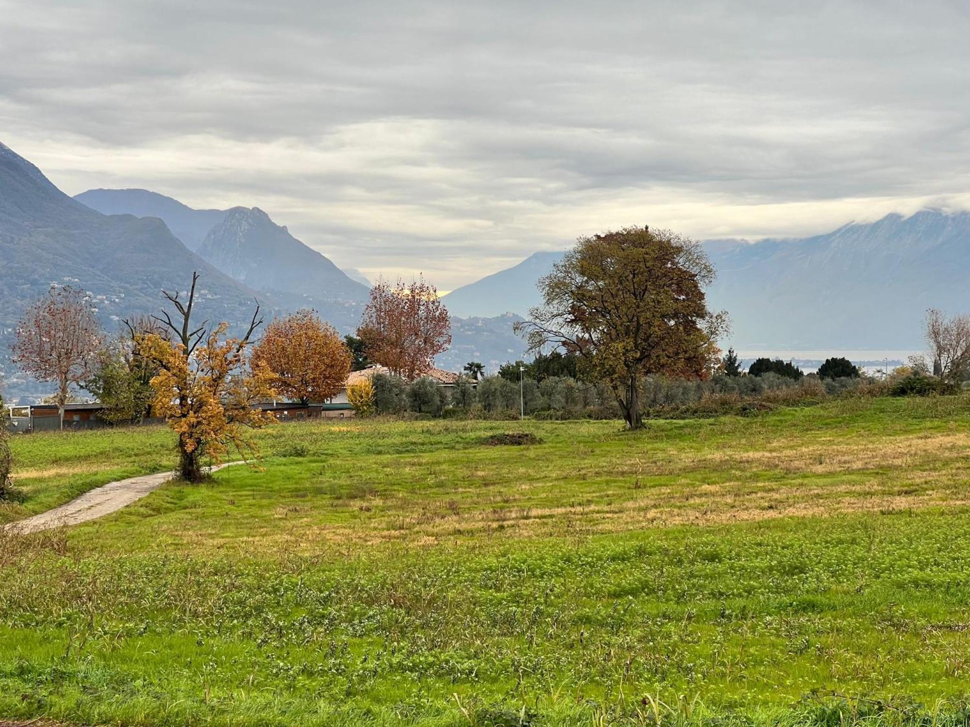 La Finestra Sul Garda Dreaming Holidays San Felice del Benaco Exterior foto